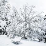 La Spezia (SP) - Parco della Maggolina sotto la neve